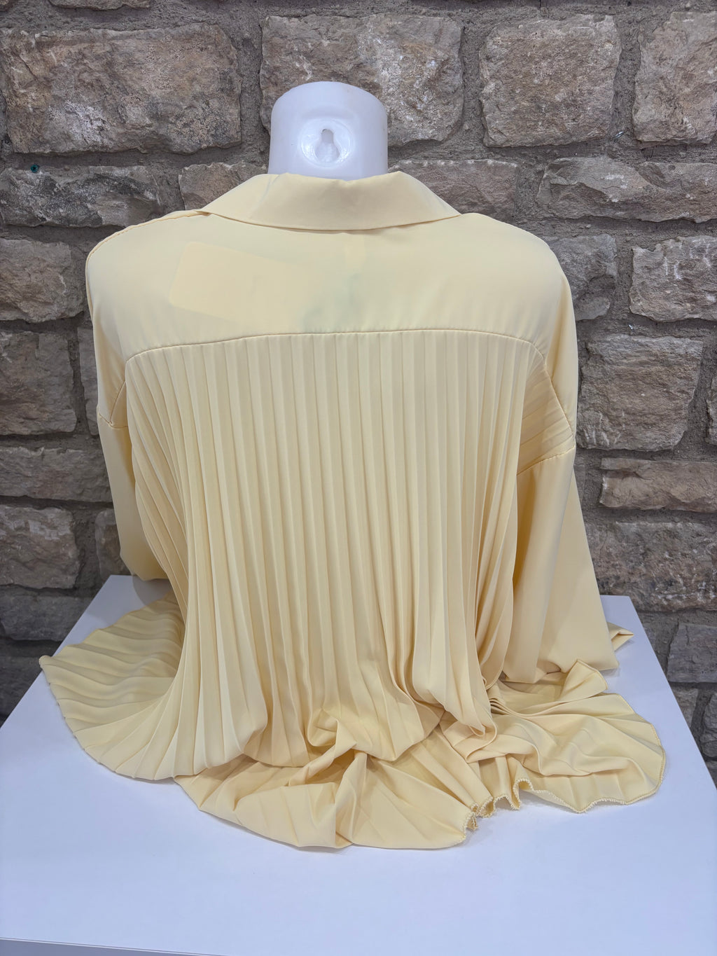 Chemise  plissée dos