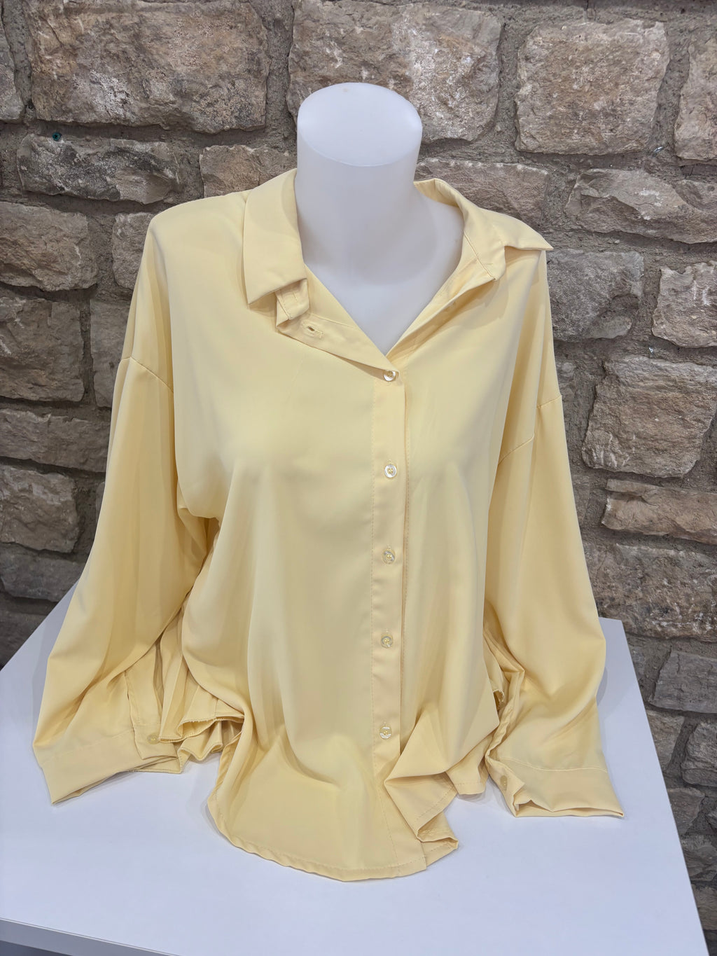 Chemise  plissée dos
