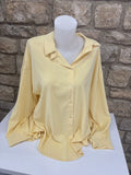 Chemise  plissée dos