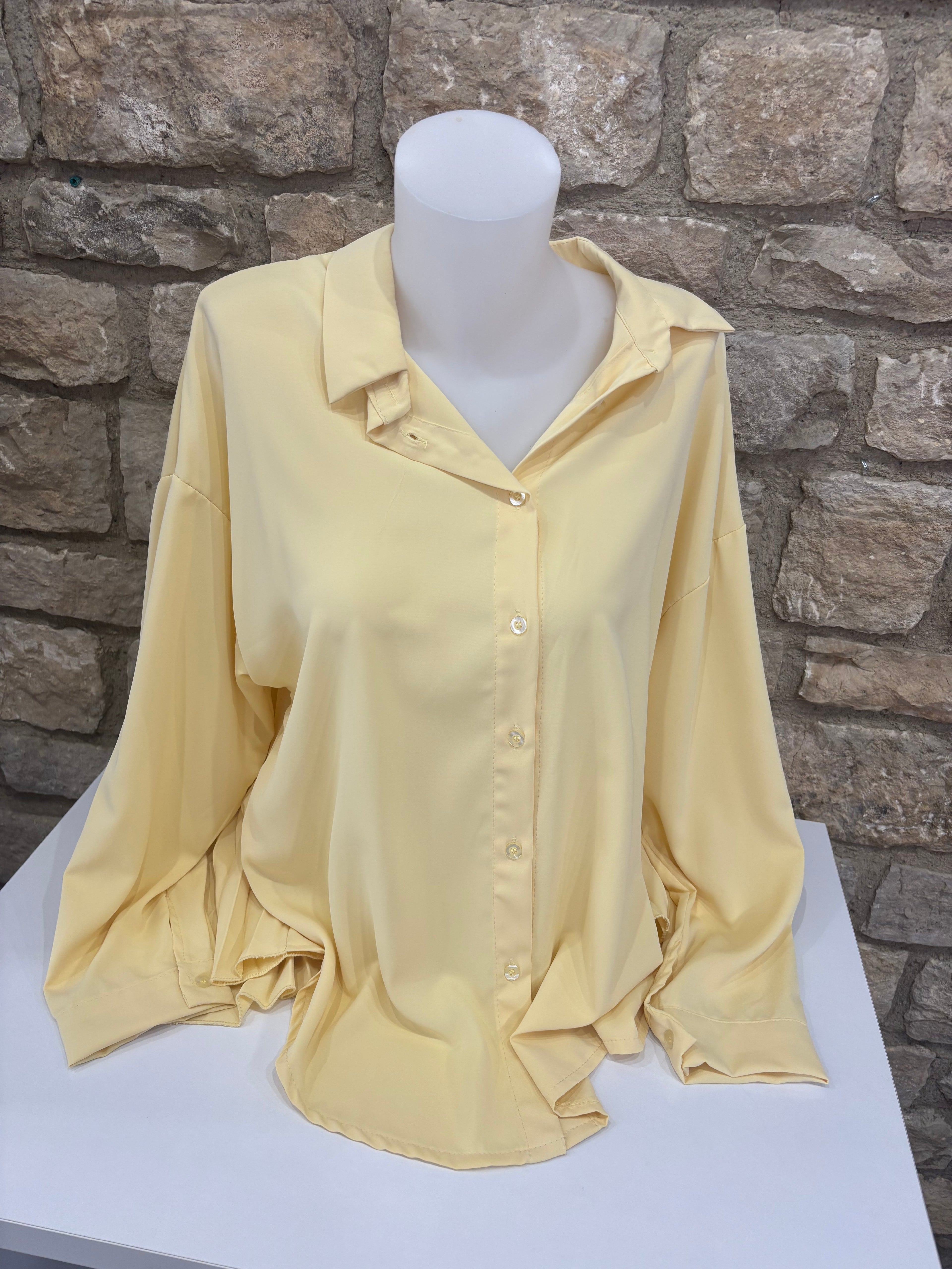 Chemise  plissée dos